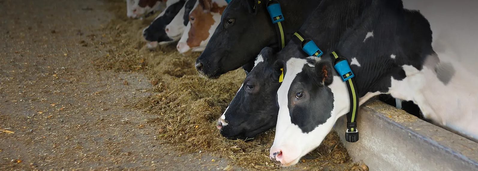 Livestock Monitor.png