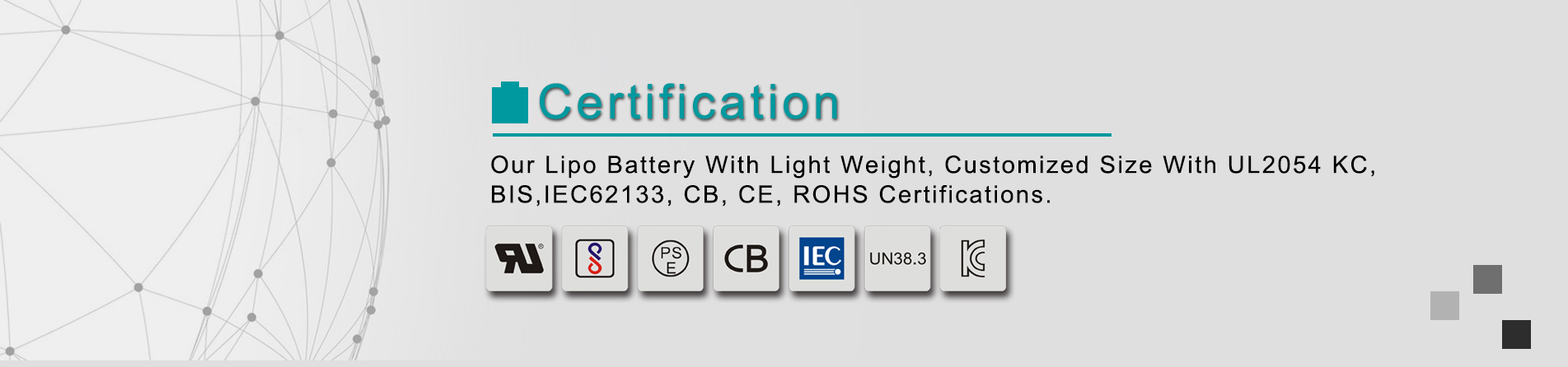 OEM Rechargeable Lipo Battery Manufacturer in China over 15 years.