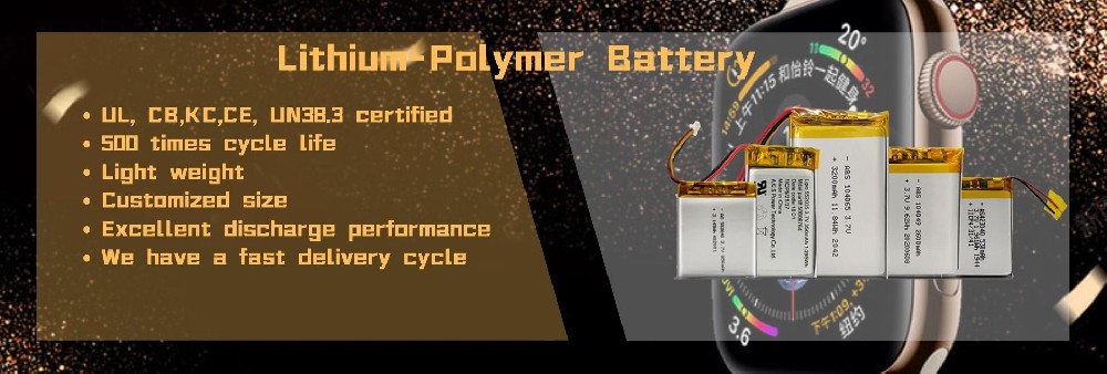 Lithium Polymer Battery: The Heart of Portable Power