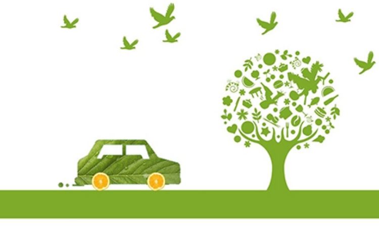 Environmental Protection Picture