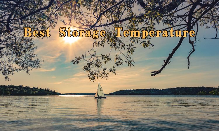 Understanding the Optimal Storage Temperature for Lithium Polymer Battery