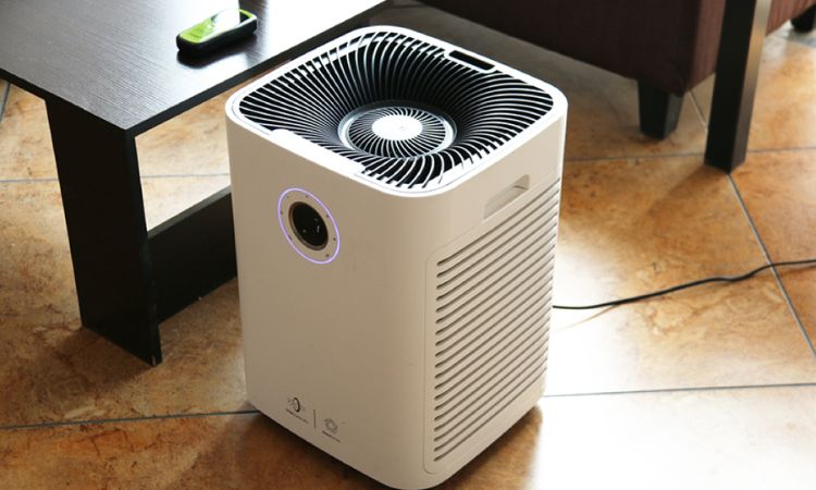 Air Purifiers