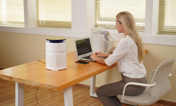 Air Purifiers Picture Air Purifiers Picture