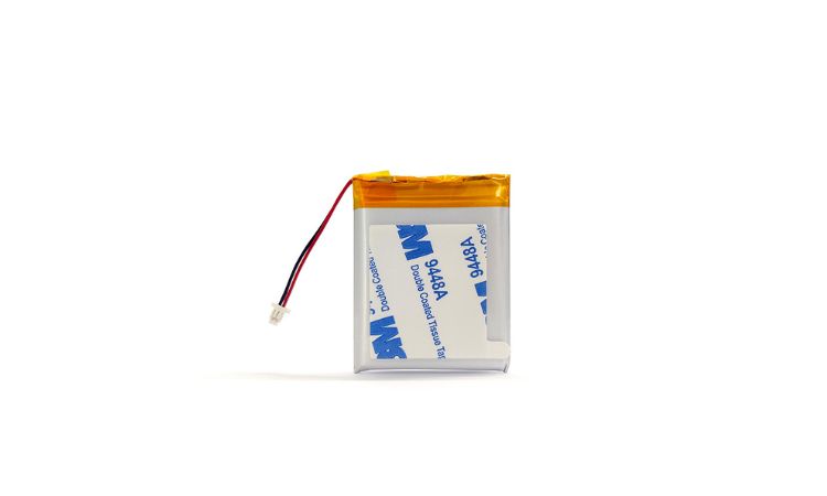 The Market for Lithium Polymer Batteries in China